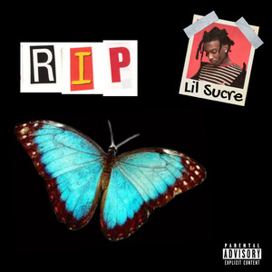 丽柜潼潼绳艺旗袍
